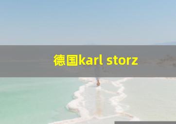 德国karl storz